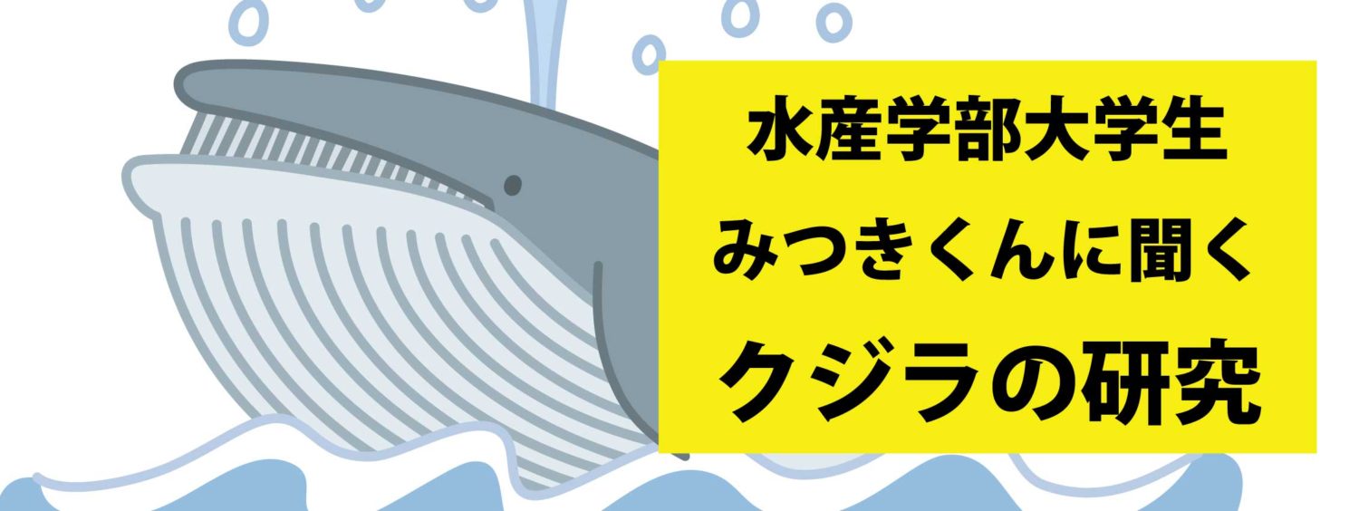 【前編】海なし県から水産学部へ！長崎でクジラの研究をする大学生の話