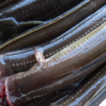 魚屋が解説！アナゴの基本と捌き方