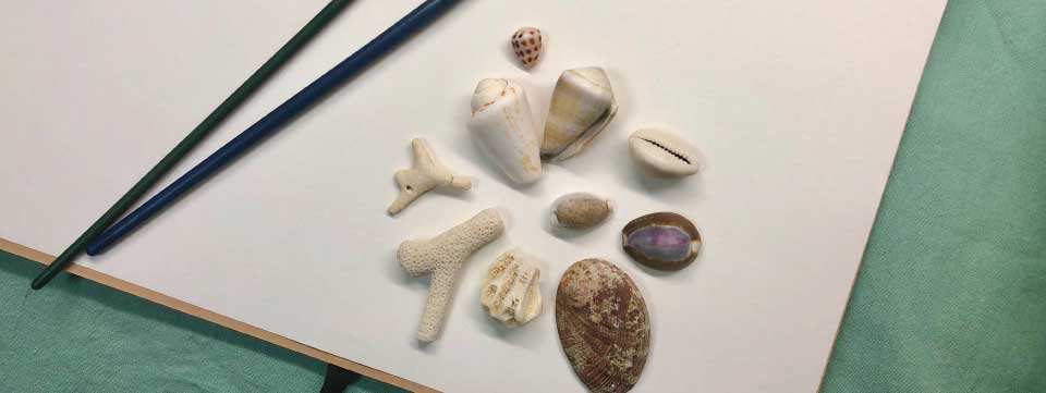 子供も大人も楽しめる！拾った貝殻でできる工作のアイデアと注意点