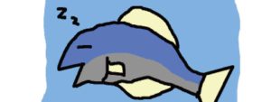 【ソボクなギモン】魚はどうやって眠るの？マグロが寝ないって本当？