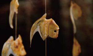 鯛の中に、また鯛が？煮魚や焼き魚に潜む縁起物「鯛の鯛」を探そう！